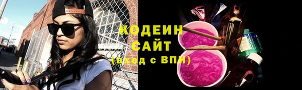 мдпв Бородино