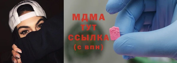мдпв Бородино
