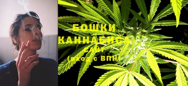 ПСИЛОЦИБИНОВЫЕ ГРИБЫ Бугульма