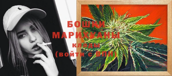 мдпв Бородино