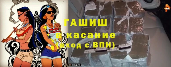 мдпв Бородино