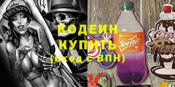 мдпв Бородино