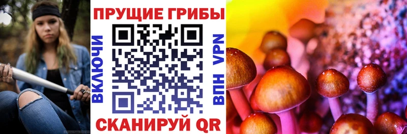 Купить  Киренск  Галлюциногенные грибы Cubensis 